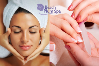 Beach Plum New Cover